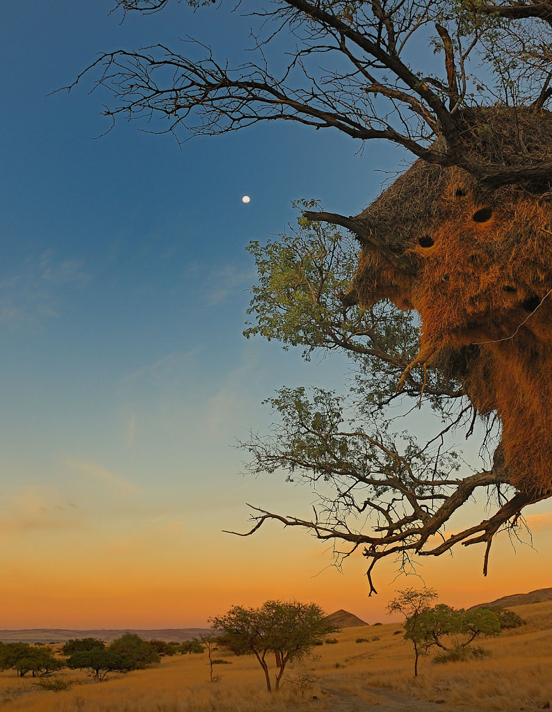 Namibia Moon