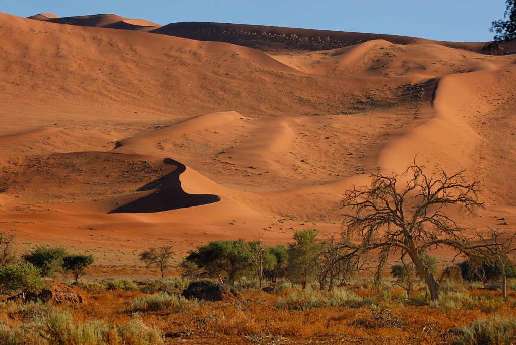 Namibia-04052007-07-53-32-D200-201488-p1.jpg