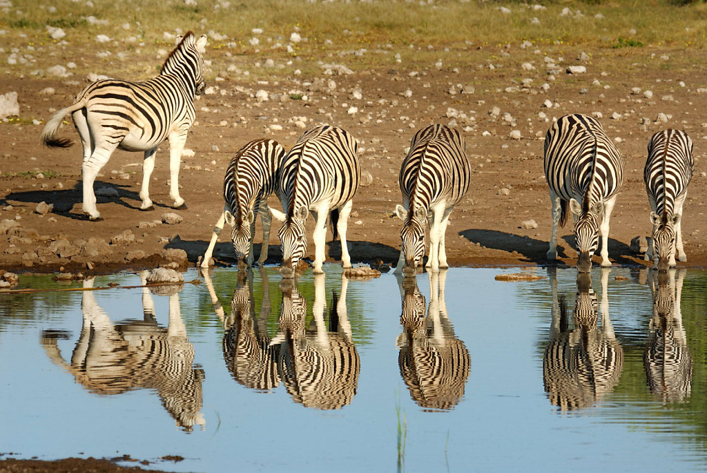 Namibia-27042007-02-41-07-D200-200379-p1.jpg